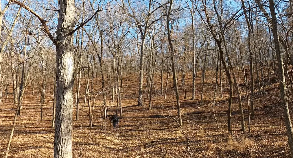 Monkey mountain missouri Monkey mountain missouri