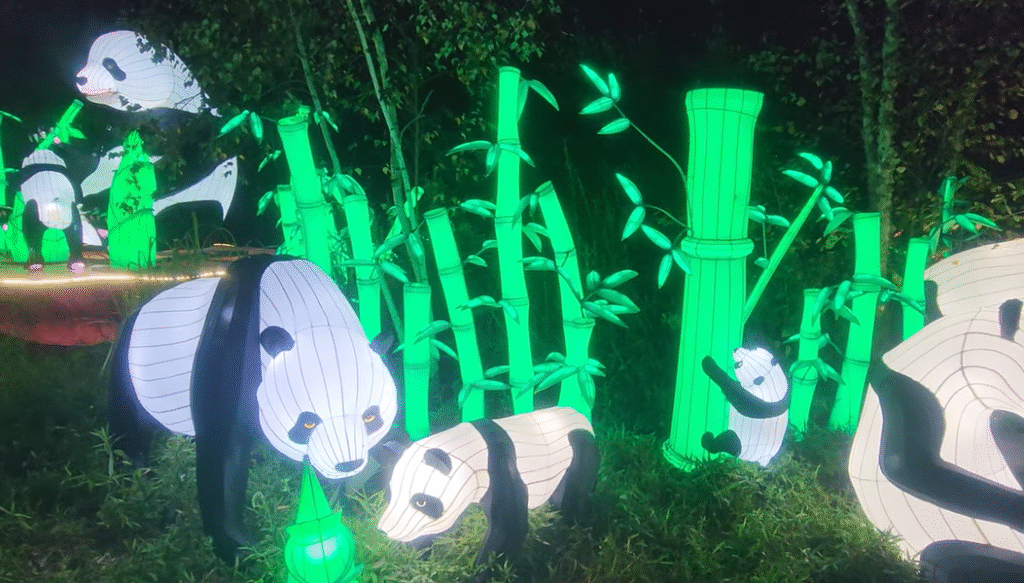 Columbus Zoo Lantern Festival Columbus Zoo Lantern Festival