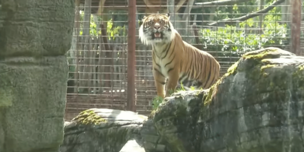 Denmark Zoo