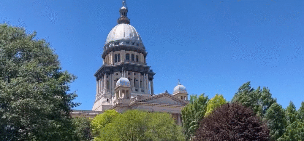 Illinois Gerrymandering