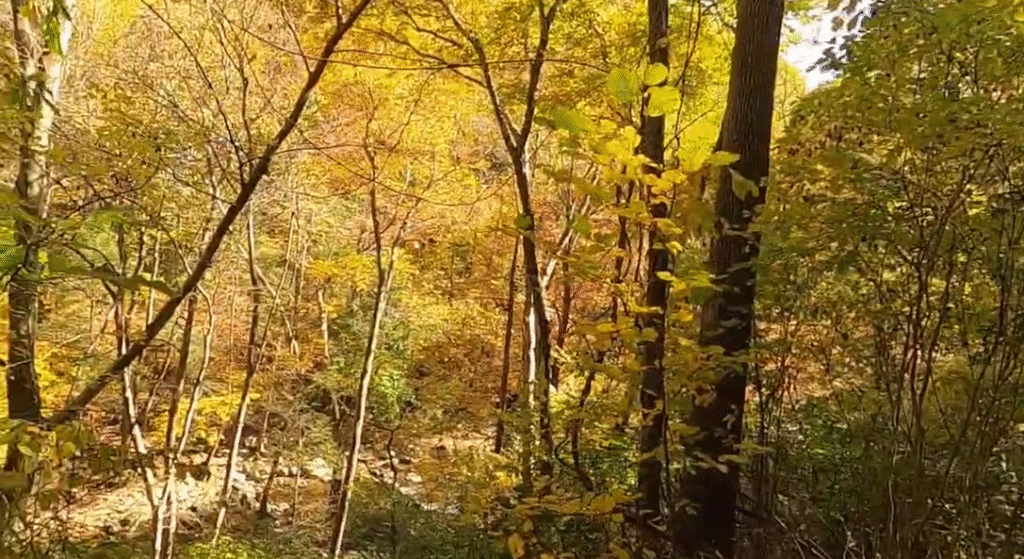 Columbia new jersey