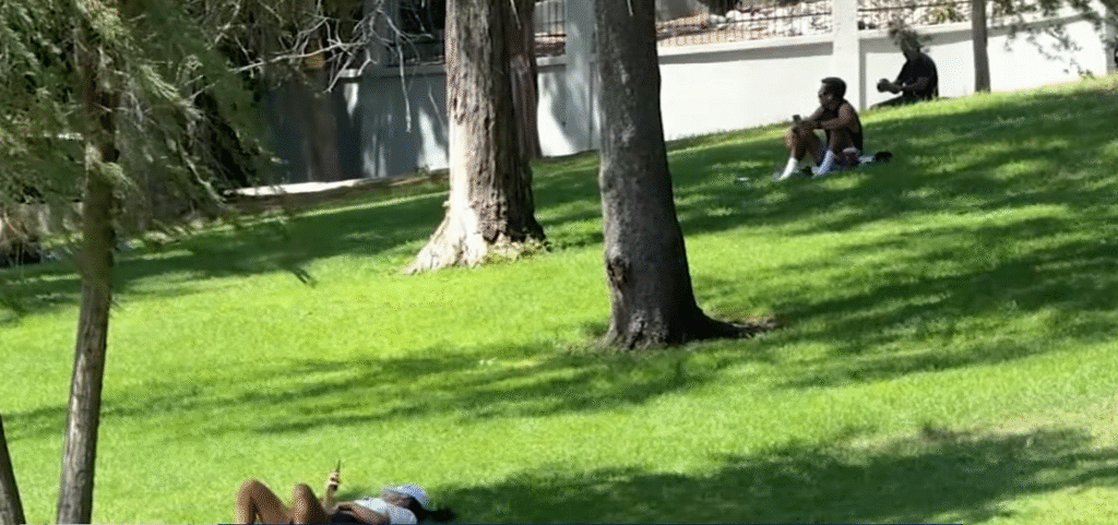 Chagas Disease Texas