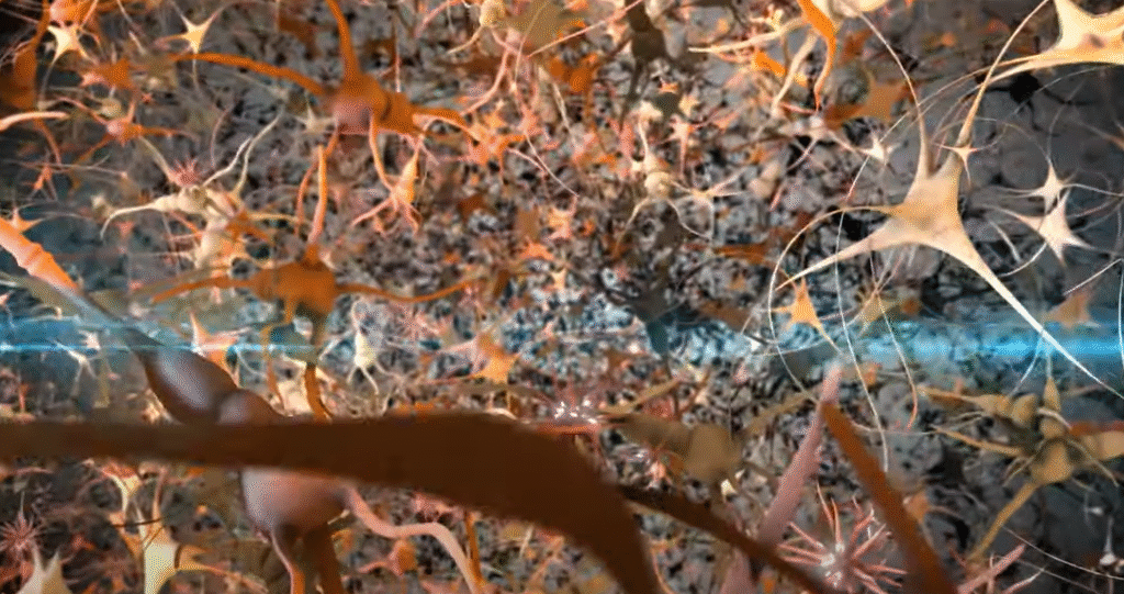 What triggers schizoaffective disorder