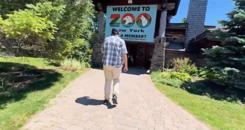 Zoo New York Watertown