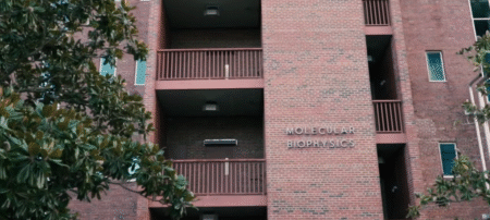 Maddie Kowalski What Happened — How a Viral Video Shattered Privacy and