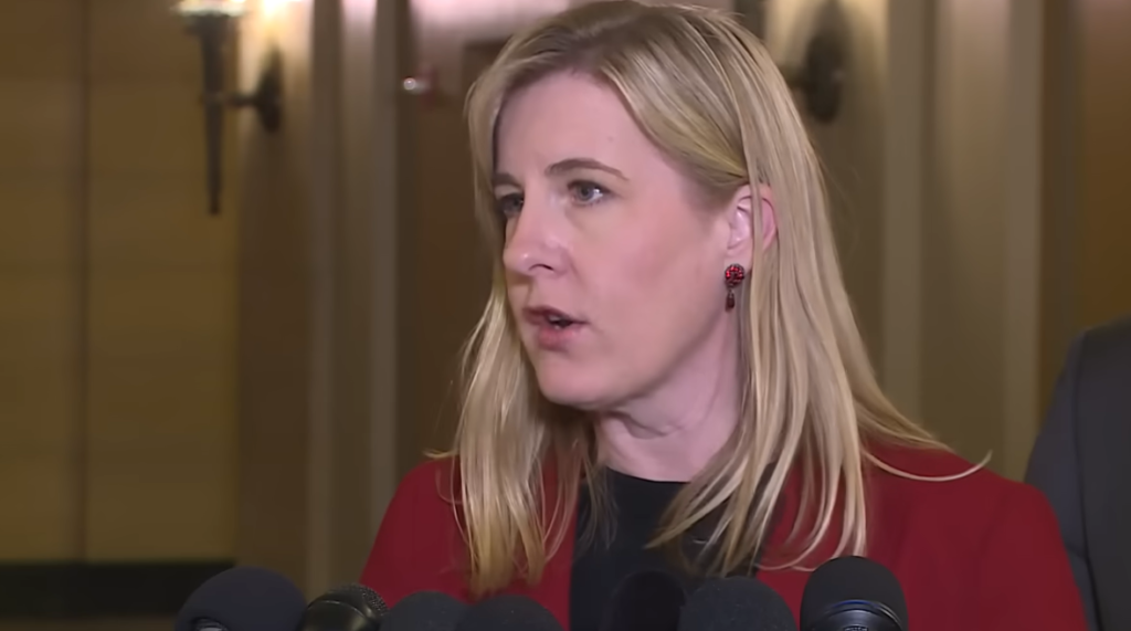 Melissa Hortman Assassination Motive: What Investigators Have Uncovered