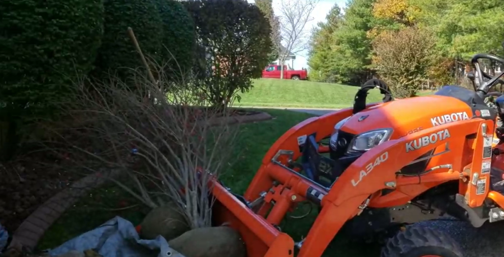 Burning Bush Landscaping & Camila Mendoza Case Draws Attention to Local Search Efforts