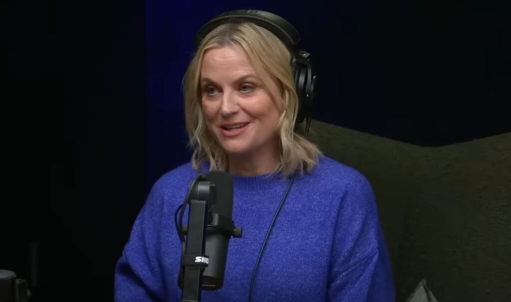 Npr amy Poehler