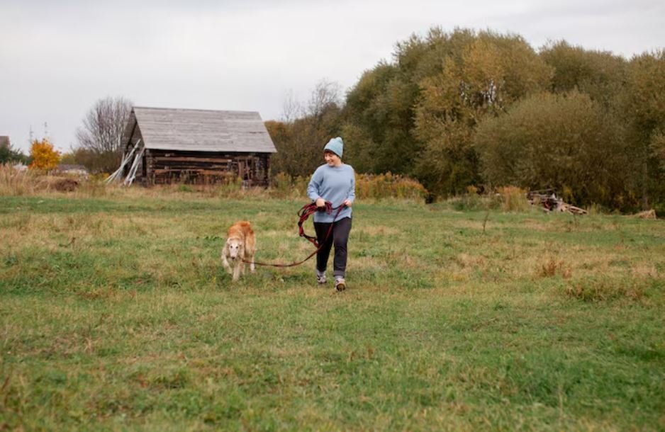 Why Prairie Village Residents Are Suing Over a New Dog Park