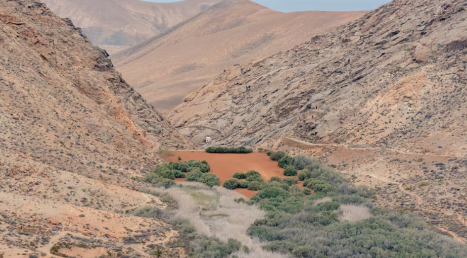 The Mojave National Preserve Mine Lawsuit