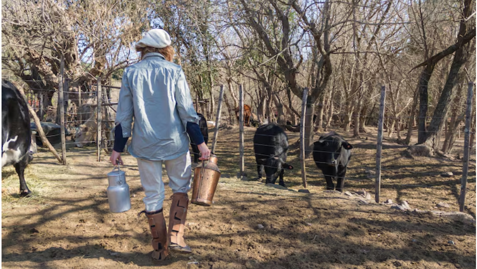 Missouri Farmer's Backyard Discovery