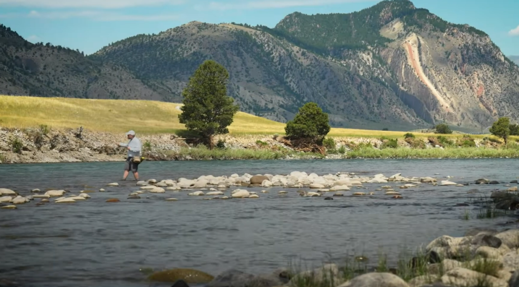 Yellowstone River Trout Mortality Is Getting Worse — And Anglers Are Part of the Problem