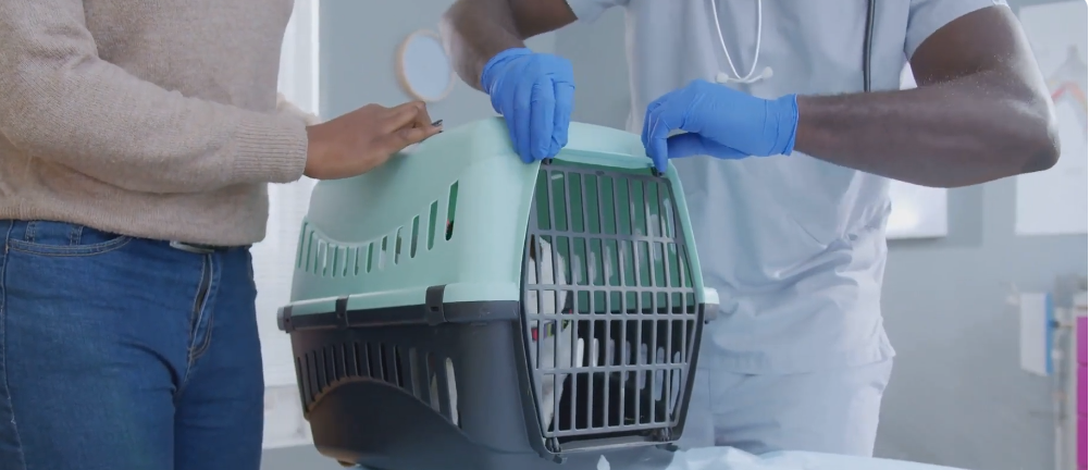 Dr katherine theodotou rspca lawsuit