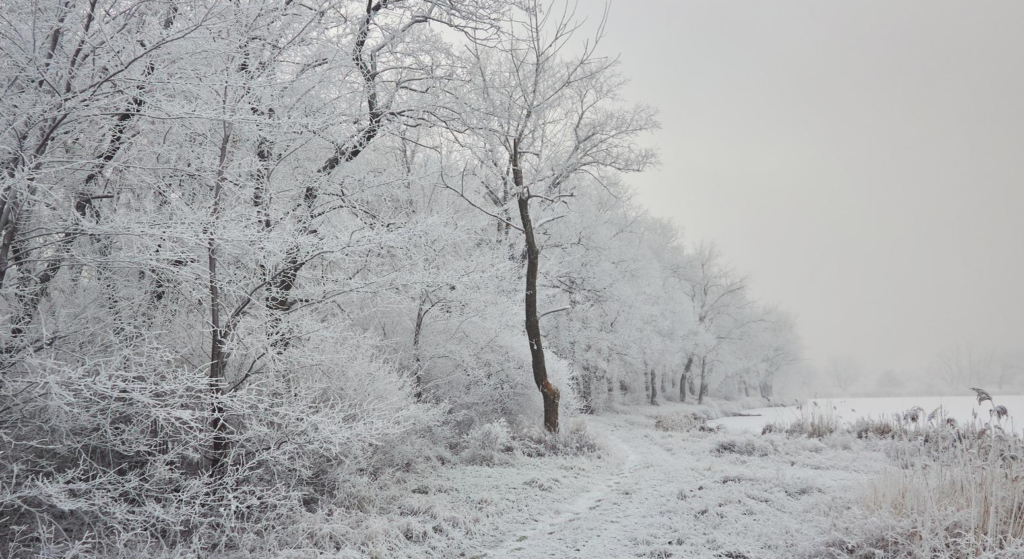 The US 2026 Winter Weather Forecast Is Here — and the East Should Start Paying Attention The US 2026 Winter Weather Forecast Is Here — and the East Should Start Paying Attention