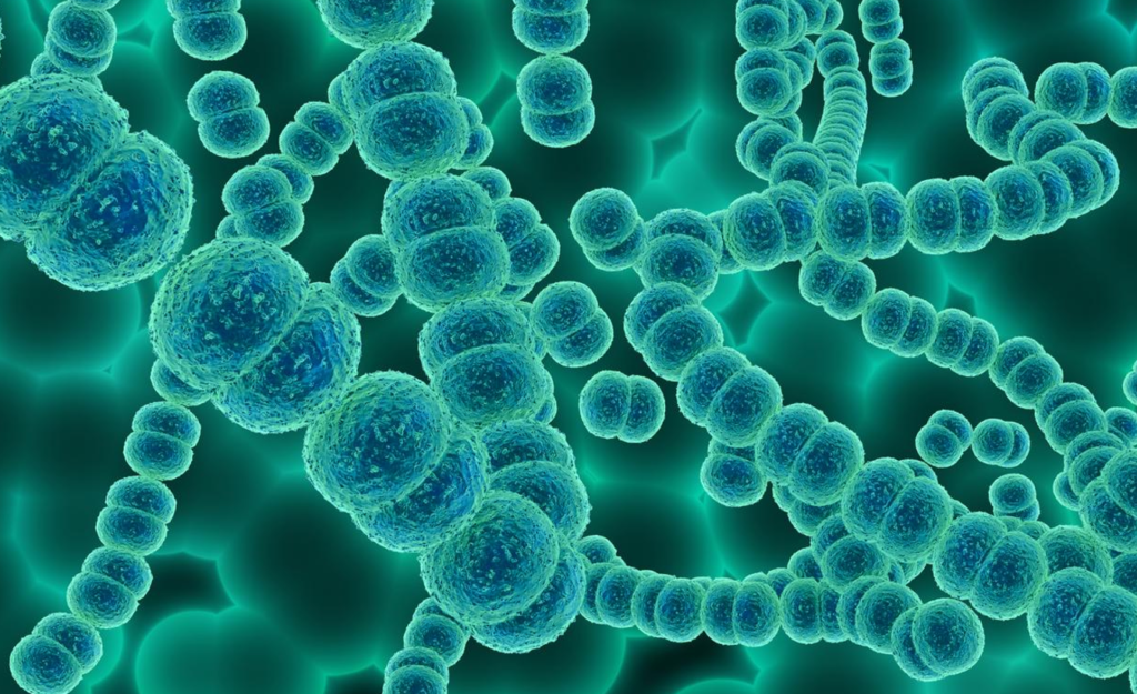 Louisiana Vibrio Vulnificus Outbreak: Five Dead as Warm Gulf Waters Turn Deadly