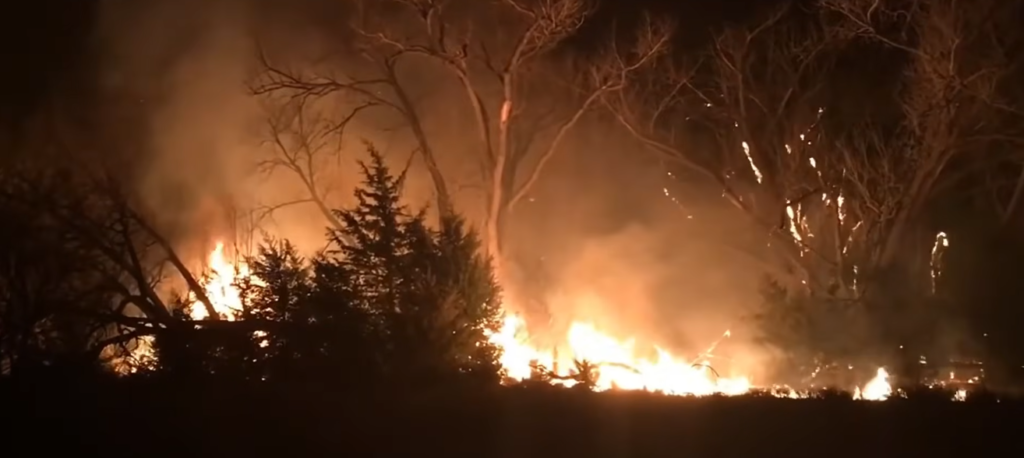 Hawk Fire Tears Through Sierra Nevada