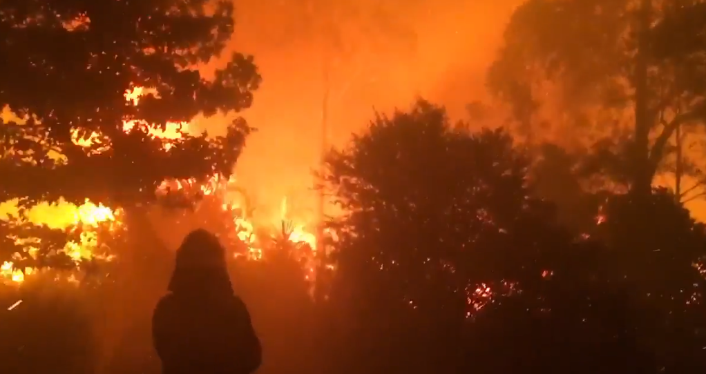 Ulladulla house fire