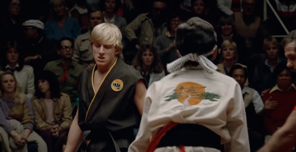 What is cobra kai about