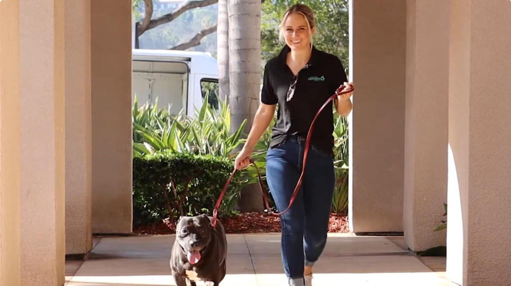 San Diego Humane Society