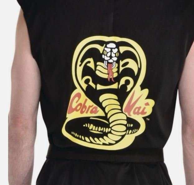 Cobra Kai Halloween Costume